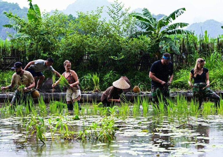 From Hanoi: Trang An, Mua Cave, Buffalo Cave 2-Day Tour