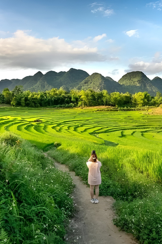 From Hanoi Visit The Local Village, Terraced Fields In 3 Day - Tour Overview and Pricing