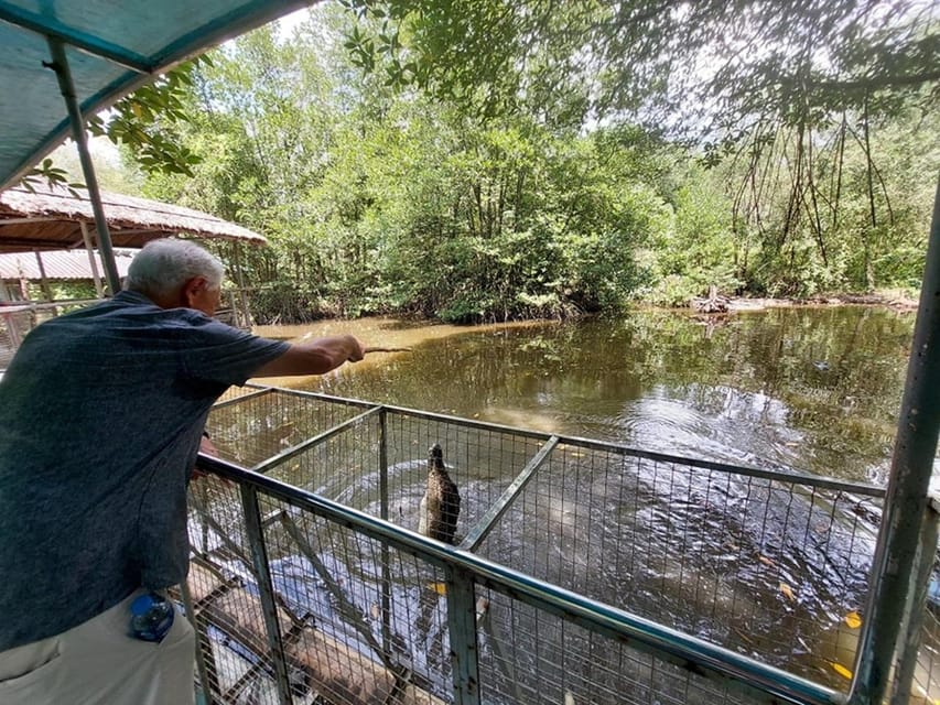 From Ho Chi Minh: Can Gio Mangrove Forest - Tour Overview and Pricing