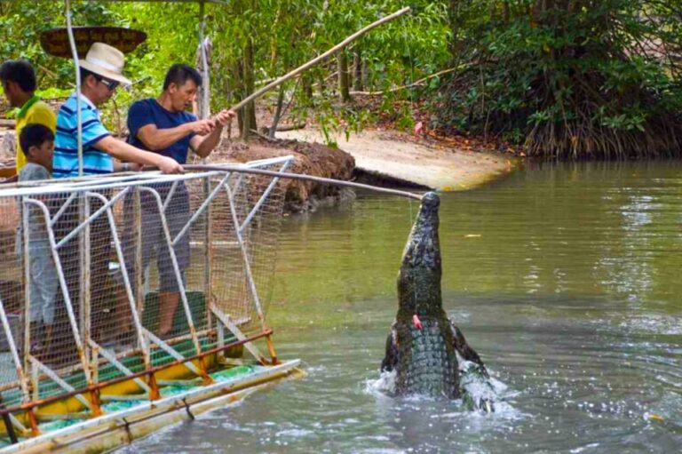 From Ho Chi Minh: Can Gio Mangrove Forest & Monkey Island