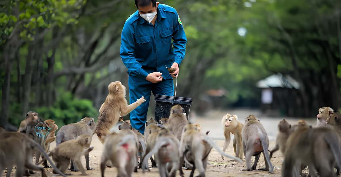 From Ho Chi Minh: Can Gio Mangrove Forest & Monkey Island - Tour Overview