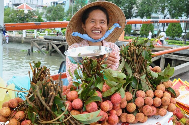 From Ho Chi Minh City: Mekong Delta Small-Group Tour