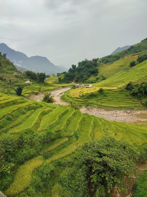 From Ho Chi Minh: Sapa Tour 2 Days 1 Night Tour - Tour Overview and Pricing