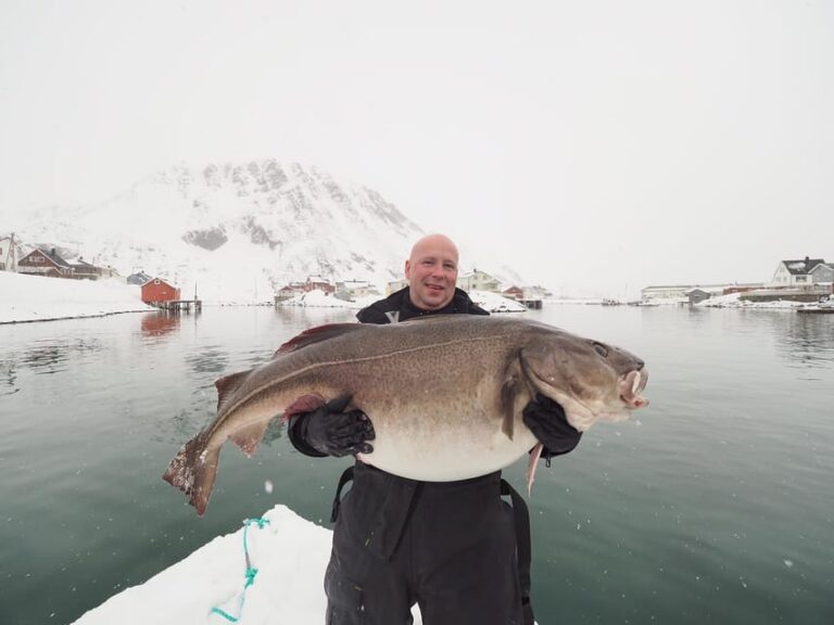 From Honningsvåg: North Cape Private Fishing Boat Trip