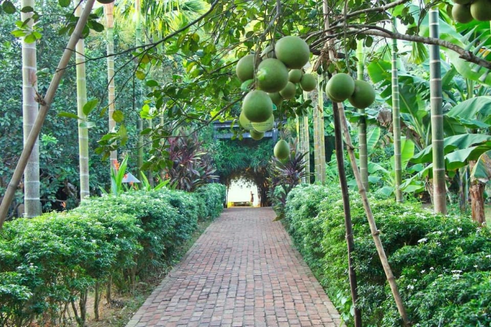 From Hue: 1 Day COOKING CLASS in THUY BIEU VILLAGE - Overview of the Experience