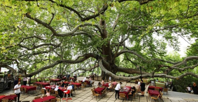 From Istanbul: Bursa and Uludag Tour With Lunch & Cable Car