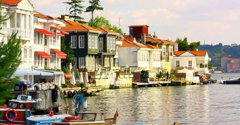 From Istanbul: Full-Day Princes Island Tour With Lunch