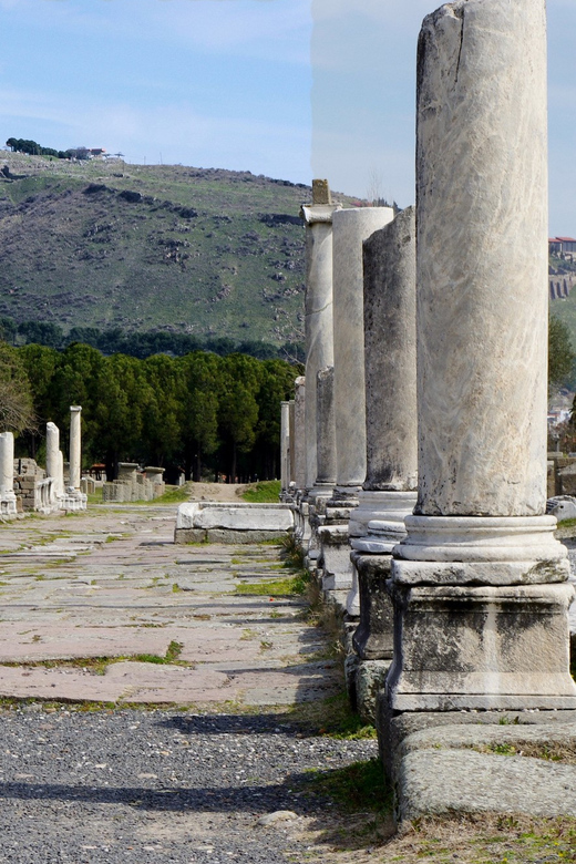 From Izmir: Private Day Trip to Acropolis of Pergamon - Trip Overview and Pricing