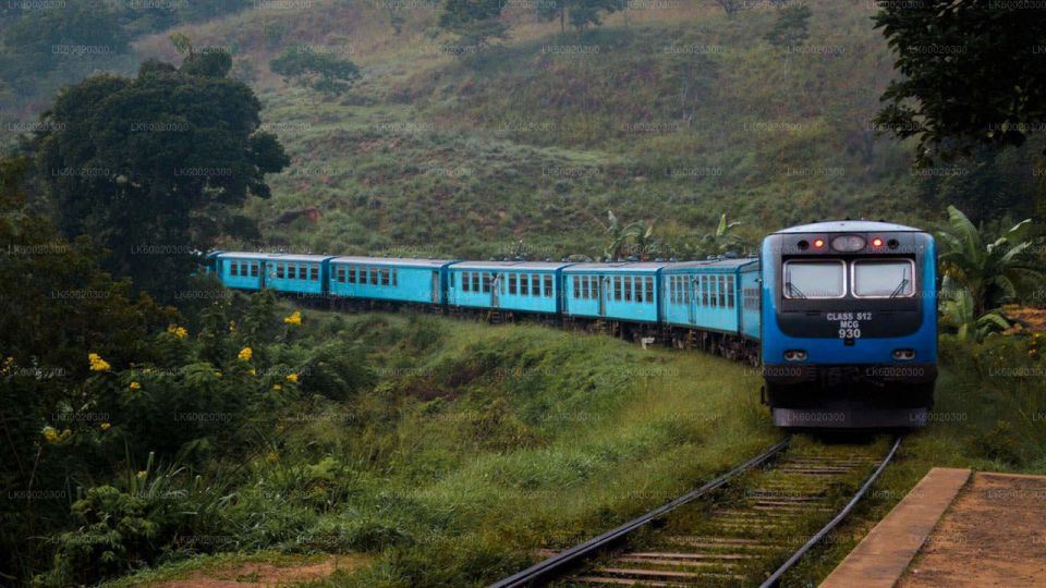 From Kandy: Nuwara Eliya by Train - Overview and Pricing