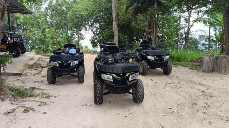 From Koh Samui: 2 Hour ATV Adventure