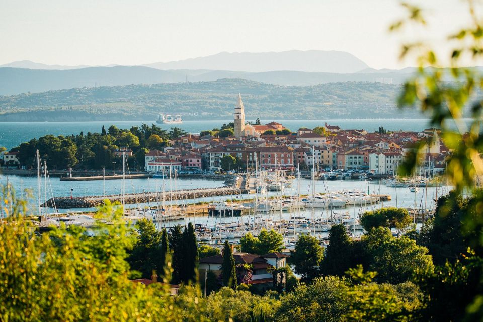 From Koper: Slovenian Riviera Bus Tour With Food Tastings - Itinerary Highlights