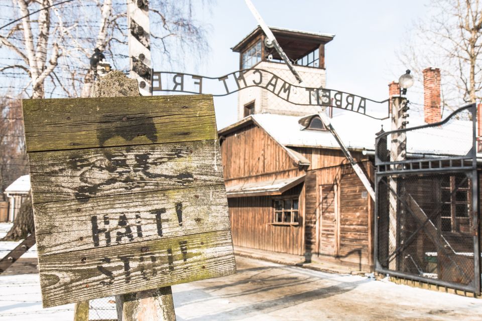 From Krakow: Auschwitz and Wieliczka Salt Mine Full-Day Trip - Trip Overview