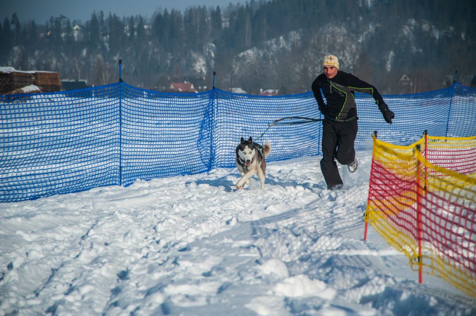 From Krakow: Dogsled Ride in Tatra Mountain - Overview of the Dogsled Experience