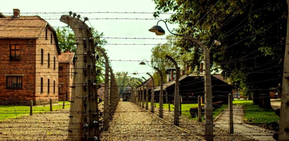 From Krakow: Guided Auschwitz-Birkenau Group Tour by Minivan - Tour Overview and Pricing