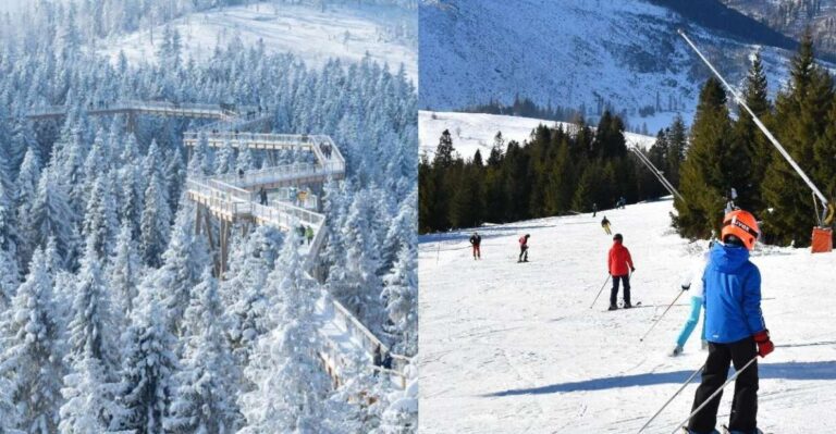 From Kraków: Slovakia Treetop Walk & 4-Hour Ski Pass