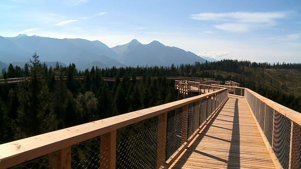 From Kraków: Slovakia Treetop Walk and Thermal Baths - Overview of the Tour