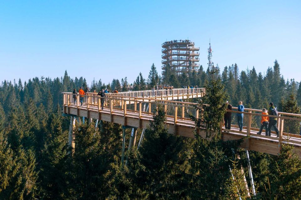 From Kraków: Slovakia Treetop Walk and Tour of Zakopane - Tour Overview and Pricing