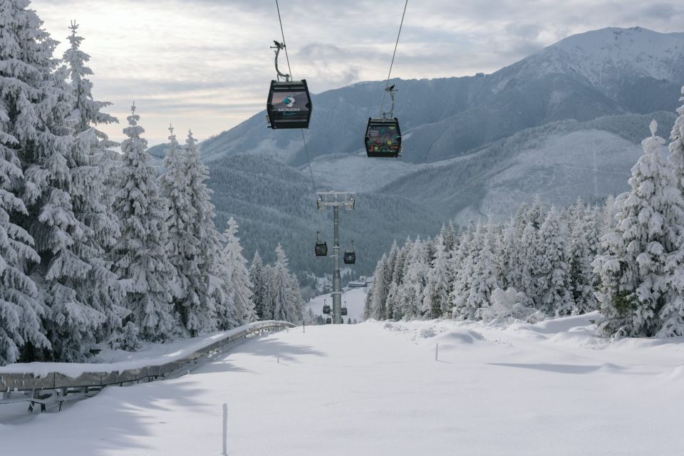 From Krakow: Slovakia Treetop Walk & Zakopane Day Trip - Trip Overview and Pricing