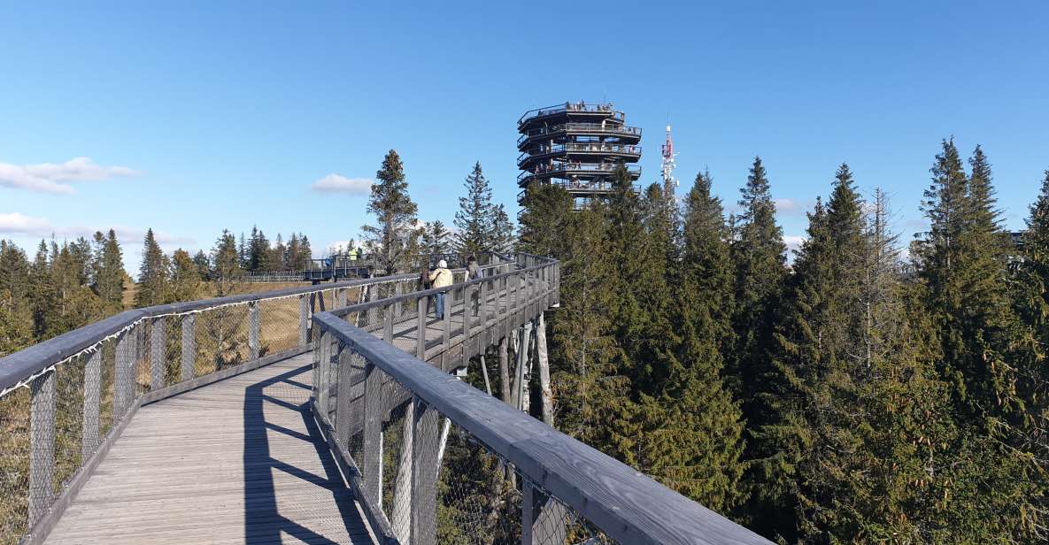 From Krakow: Tour to Slovakia Treetop Walk and Thermal Baths - Tour Overview and Highlights