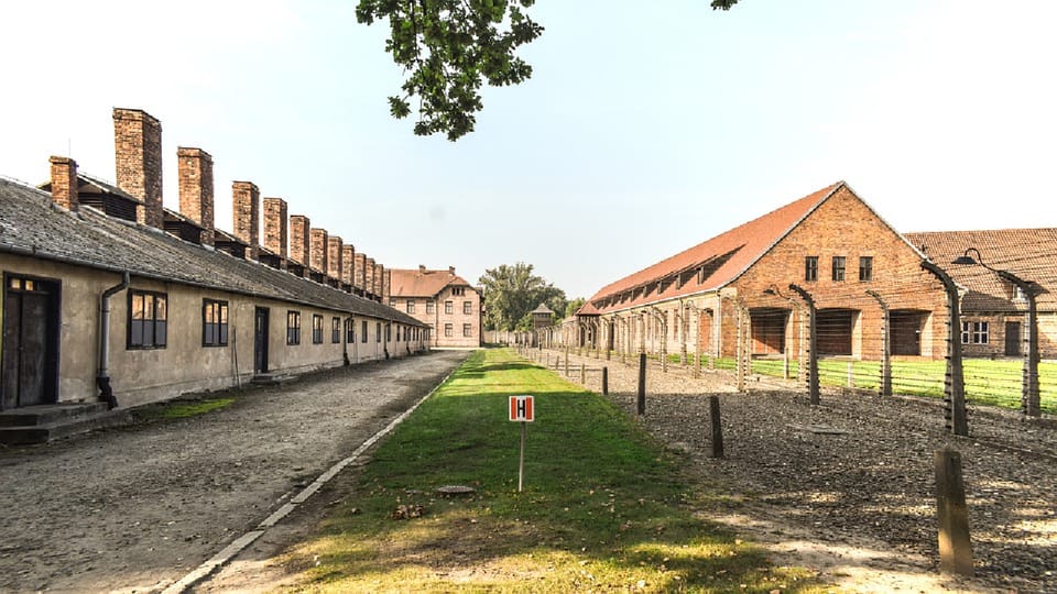 From Krakow: Wieliczka Salt Mine & Auschwitz Guided Trip - Tour Overview