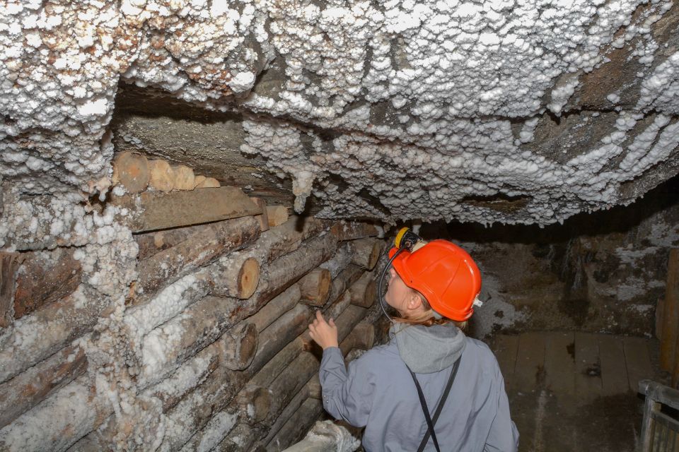 From Kraków: Wieliczka Salt Mine Guided Tour - Tour Overview and Pricing