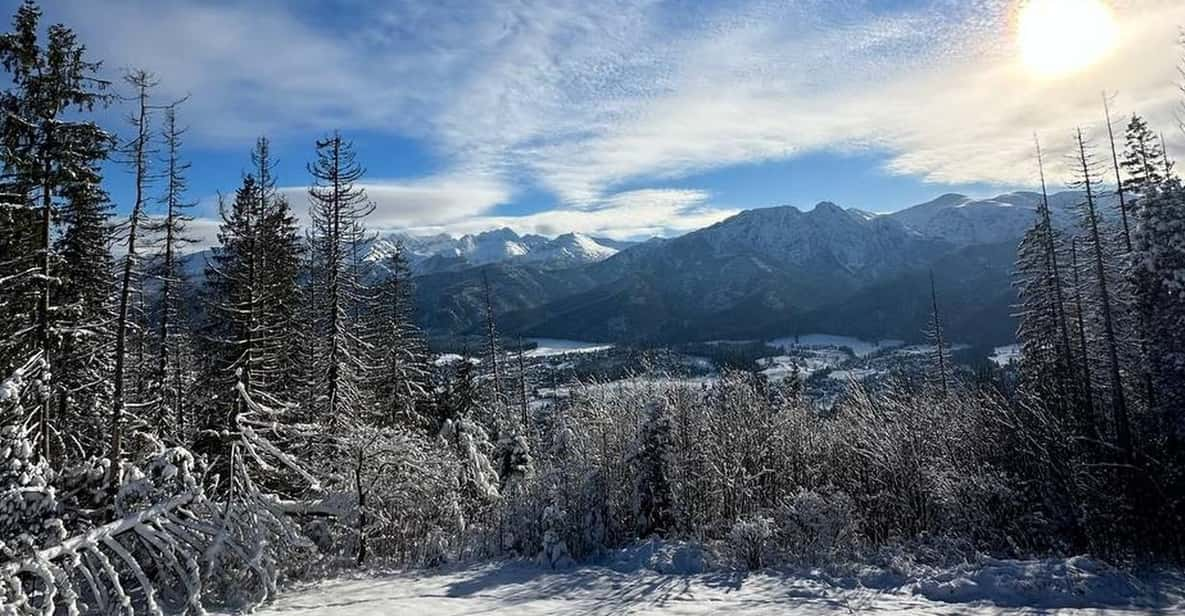 From Krakow: Zakopane Day Trip With Funicular & Food Tasting - Overview of the Day Trip