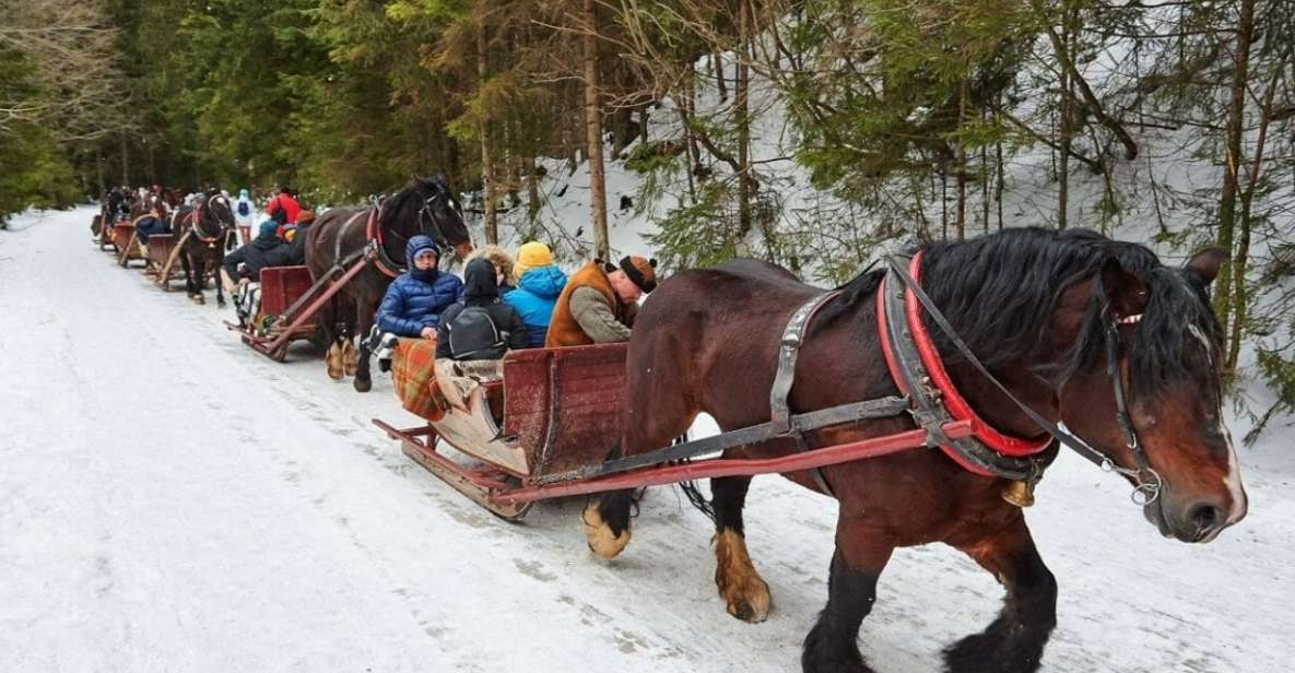 From Krakow: Zakopane, Sleigh Ride & Thermal Baths Tour - Tour Overview and Pricing