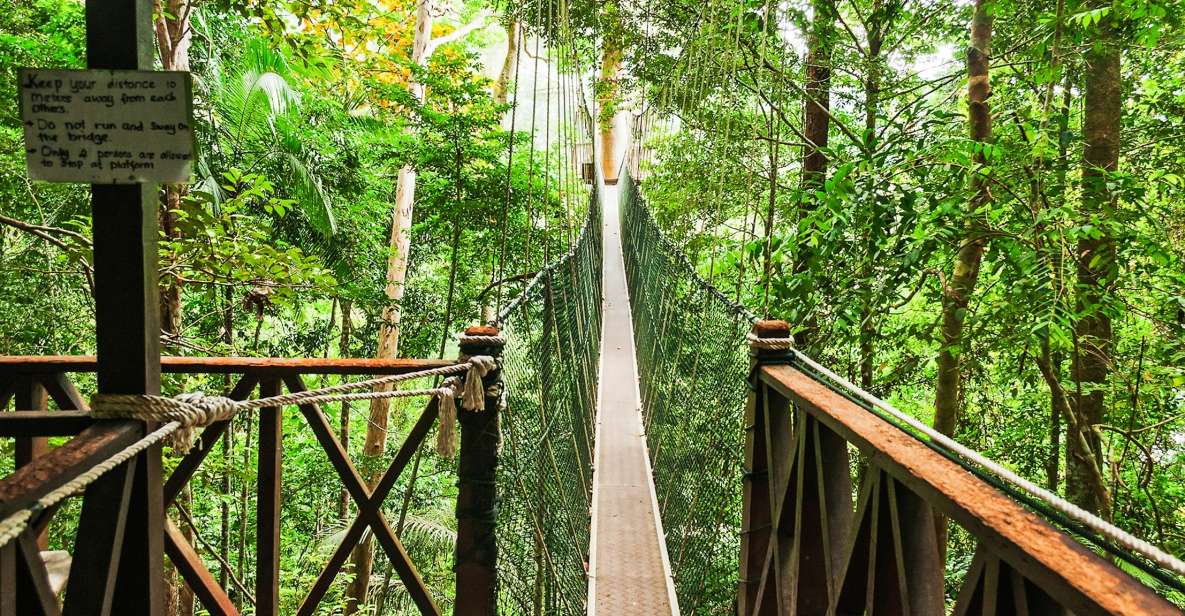 From Kuala Lumpur: Full-Day Taman Negara National Park - Tour Overview