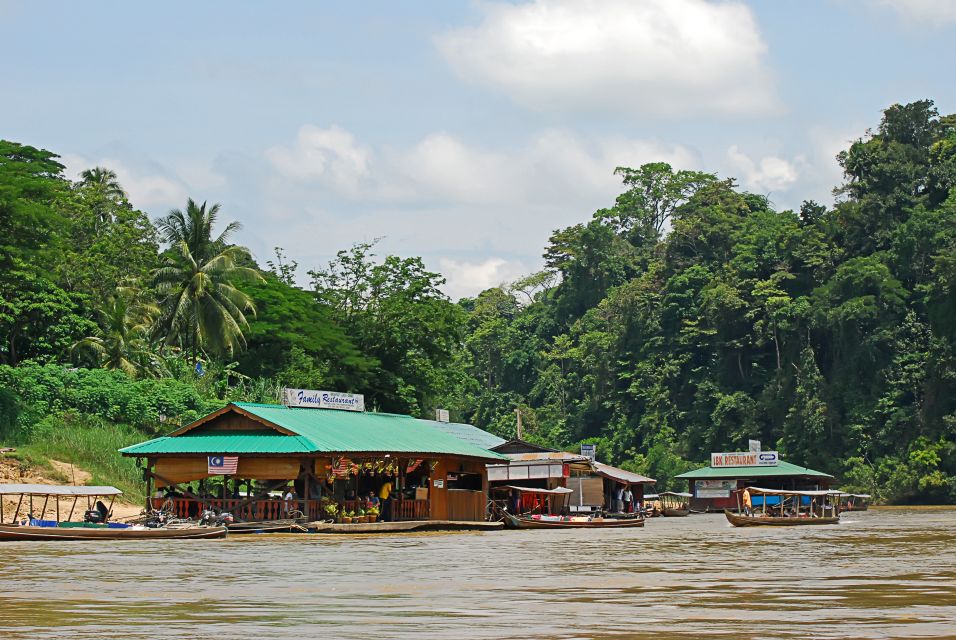 From Kuala Lumpur: Taman Negara National Park Day Tour - Overview of Taman Negara