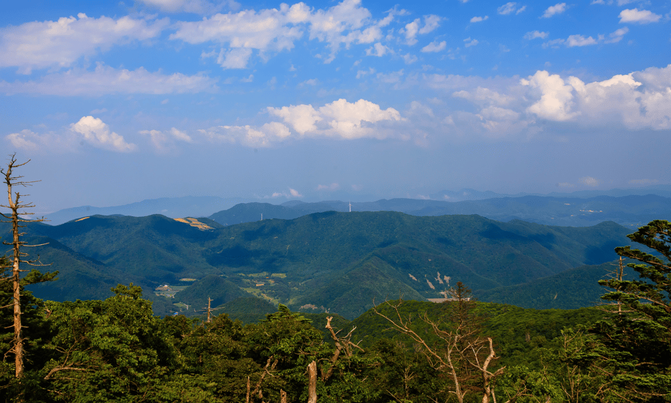 From Kuala Lumpur: Taman Negara National Park Private Tour - Tour Overview