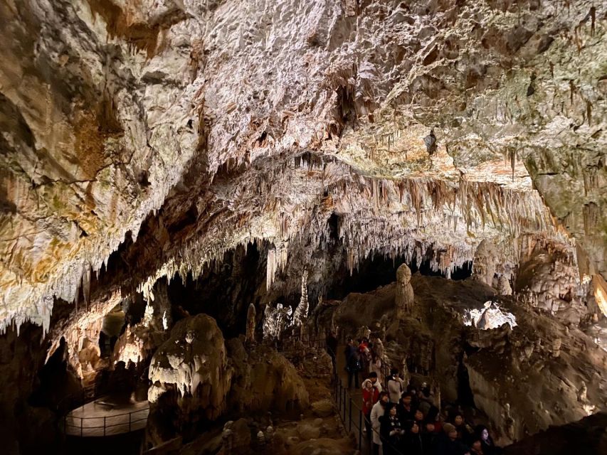 From Ljubljana: Postojna Cave Day Trip - Day Trip Overview