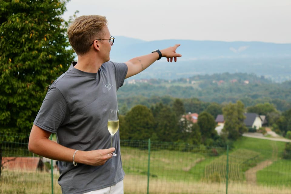 From Ljubljana: Wine Tasting Paired With Art Creation - Key Points