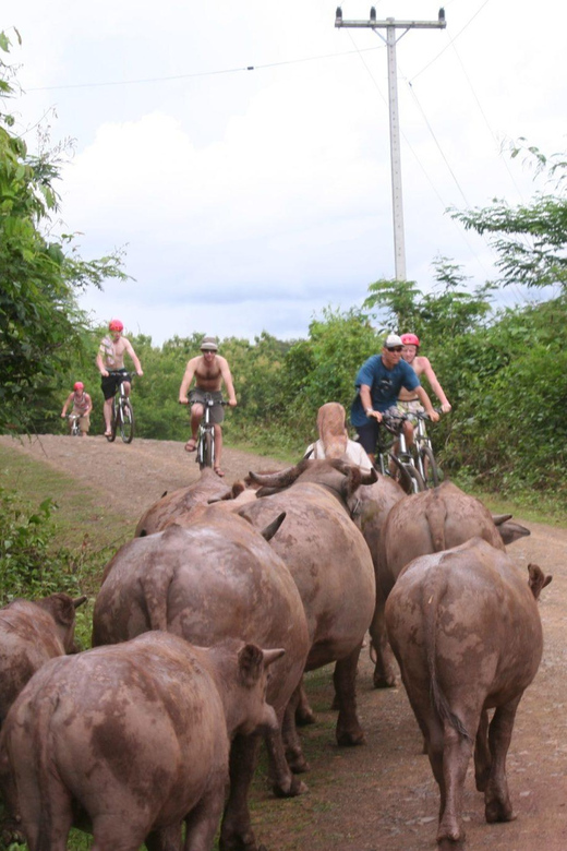 From Luang Prabang: Guided Mountain Bike Tour With Lunch