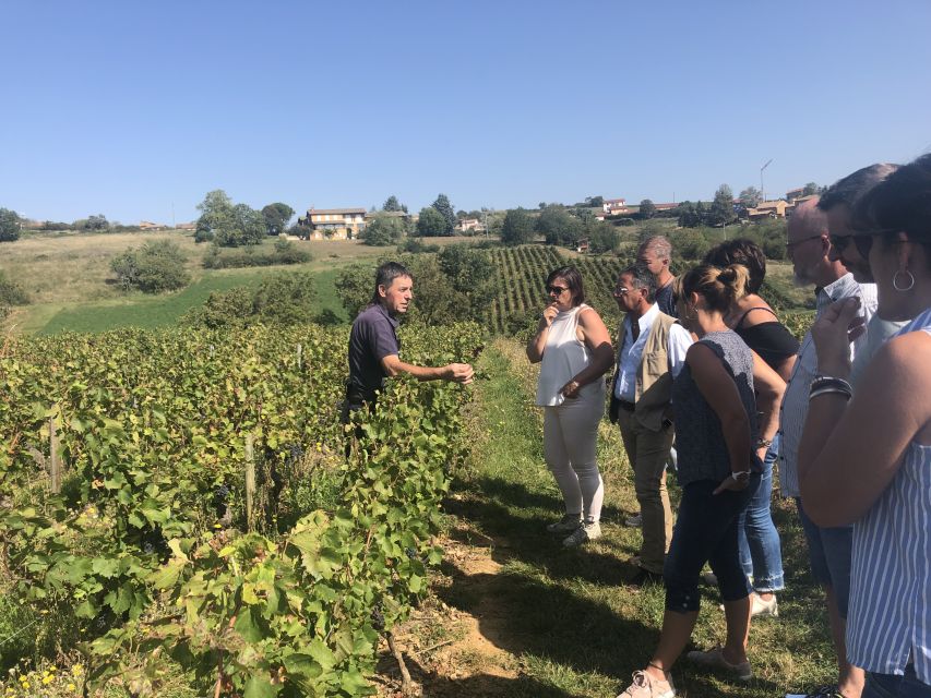 From Lyon: Beaujolais Wine Tasting Day Tour