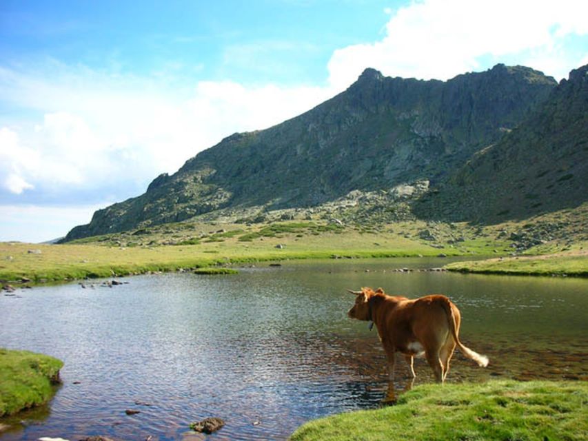 7 Best National Park Tours In Madrid