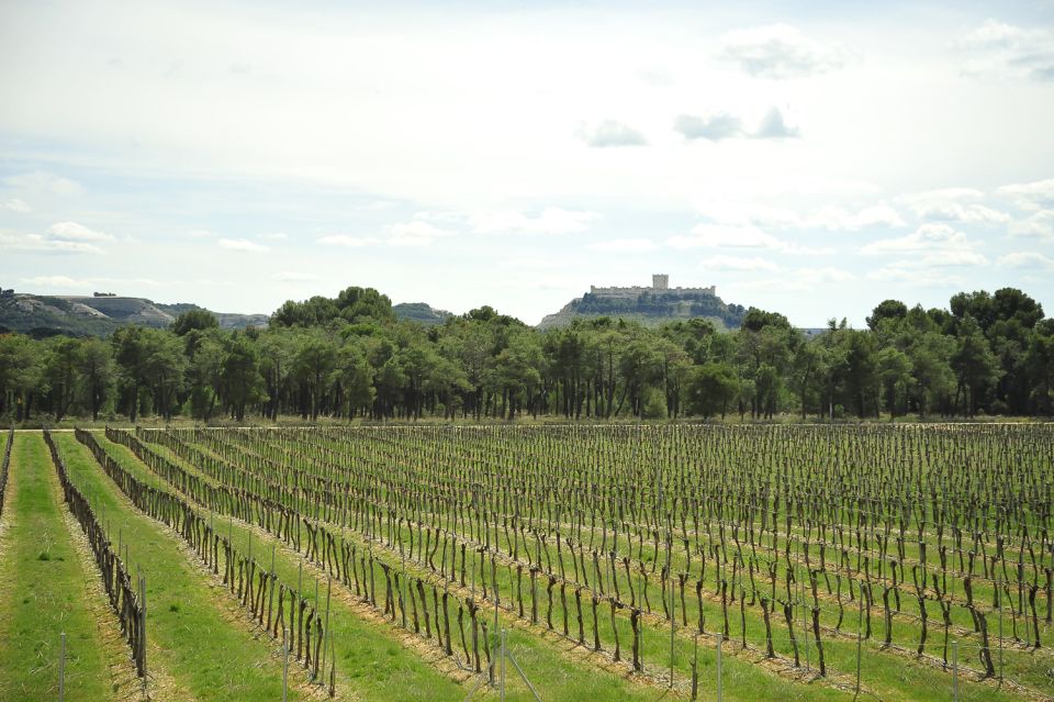 From Madrid: Ribera Del Duero Tour of 3 Different Wineries - Key Points