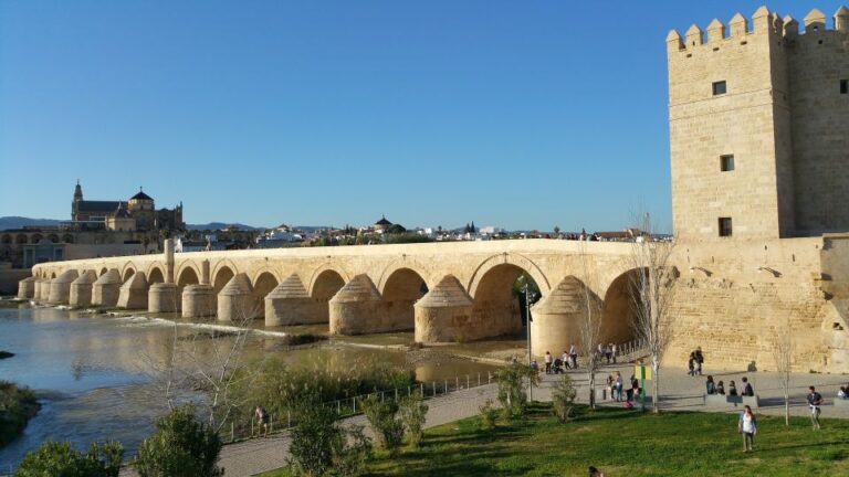 From Malaga: Private Guided Walking Tour of Córdoba