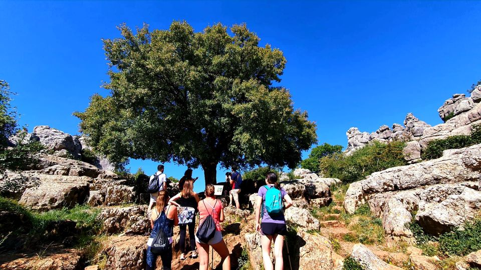 From Malaga: VIP Antequera Torcal Hiking and Dolmens Site - Tour Overview and Pricing