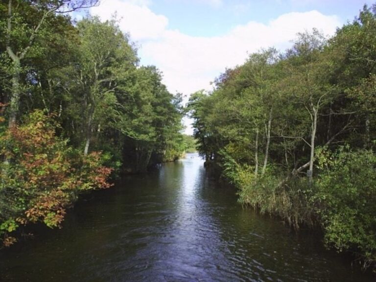 From Malchow: 4-lake Trip to the Jabeler Waldsee