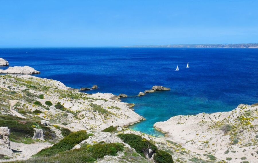From Marseille: Half-Day Sailing Trip in Frioul Calanques
