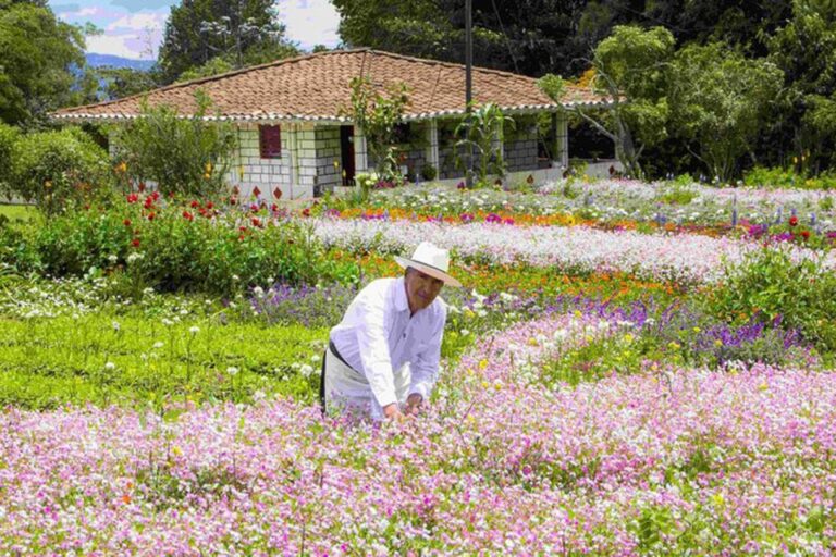 From Medellín: Colombian Flower Farm Private Full-Day Tour