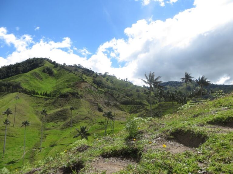 From Medellín: Jericó and Salamina 2-Day Coffee Tour