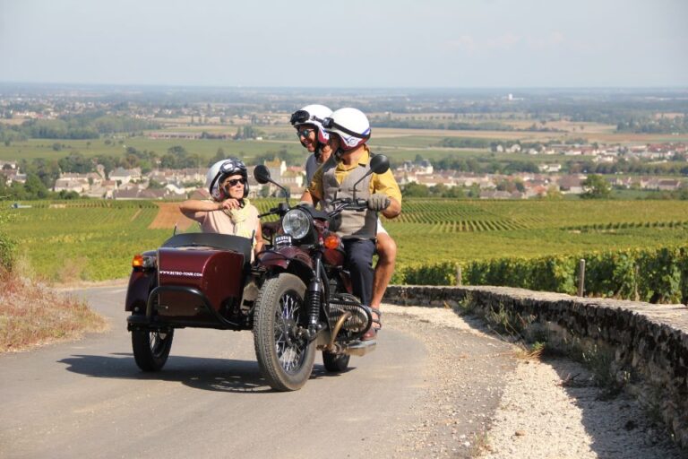 From Meursault: Private Sidecar Tour & Vineyard Wine Tasting