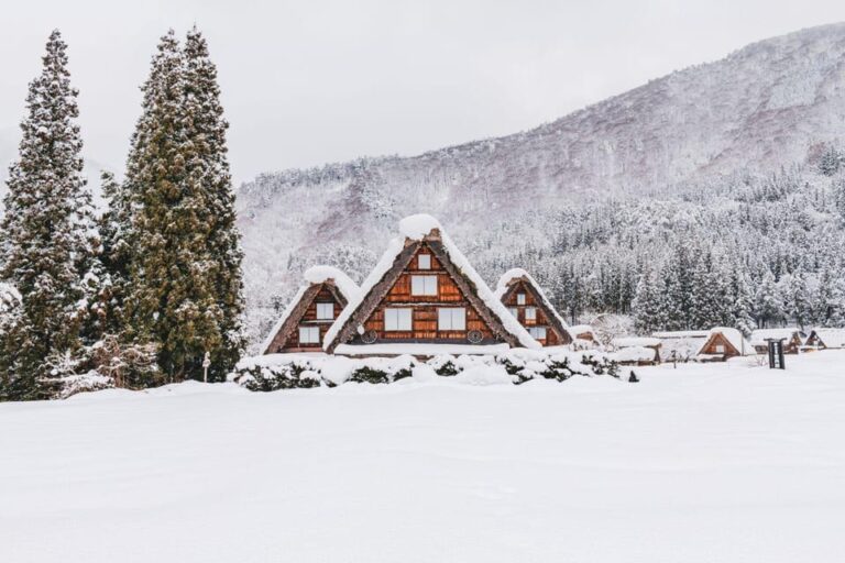 From Nagoya: Hida Takayama and World Heritage Shirakawa-go