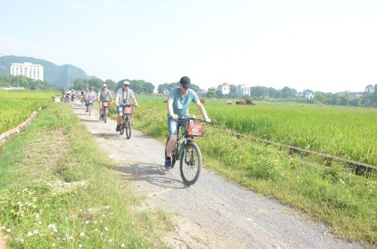 From Ninh Binh : Bai Dinh , Mua Cave, Tam Coc Boat & Cycling