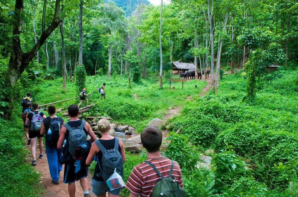 From Ninh Binh Cuc Phuong National Park Group Day Tour - Tour Overview and Pricing