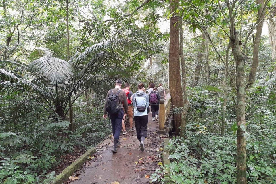 From Ninh Binh: Cuc Phuong National Park Guided Tour & Lunch - Overview of the Tour