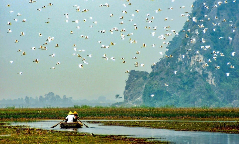 From Ninh Binh: Visit Cuc Phuong National Park - Van Long - Overview of the Tour