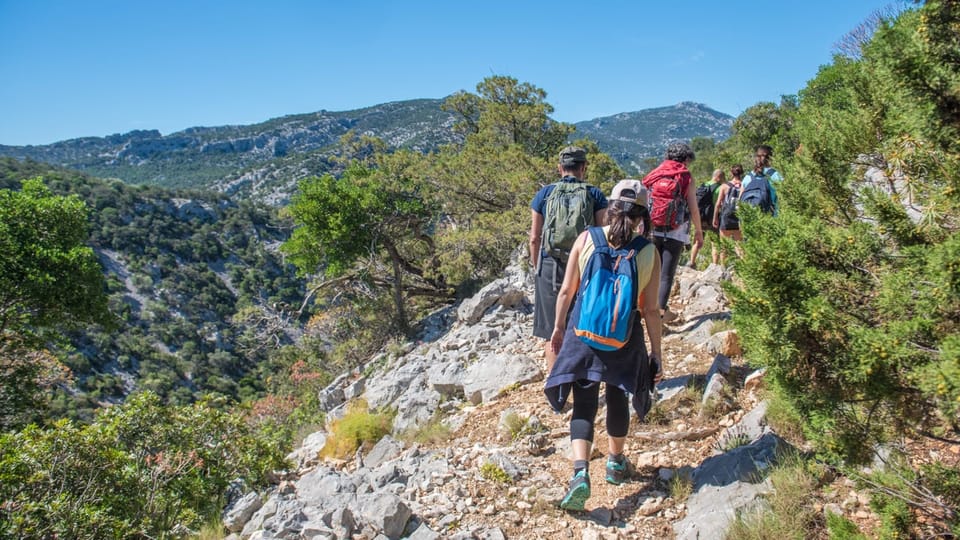 From Orosei/Dorgali: Hike to Cala Luna - Guided Day Trip - Tour Overview