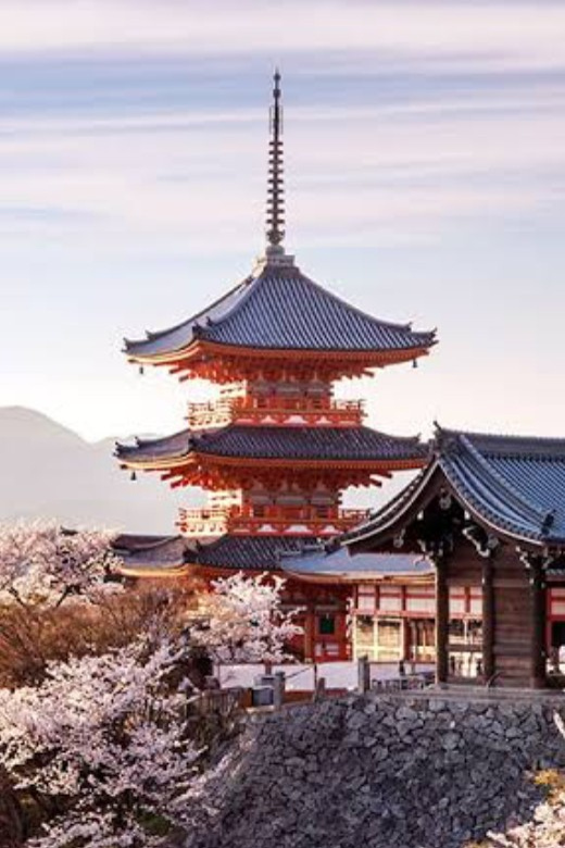 From Osaka: Kyoto Full Day Customized Private Tour - Language Support and Guides